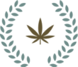 cannabis award