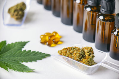 how to choose the right cbd product for you